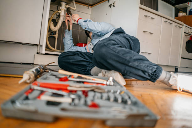 Best Water Softener Installation  in Lemay, MO