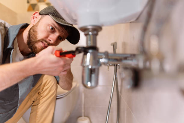 Best Plumbing Services Near Me  in Lemay, MO