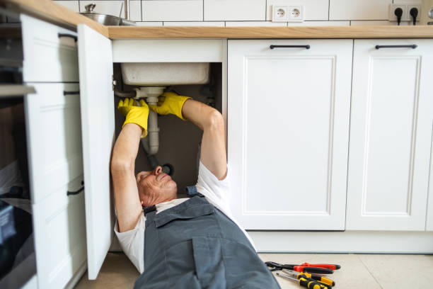 Best Affordable Plumbing Services  in Lemay, MO